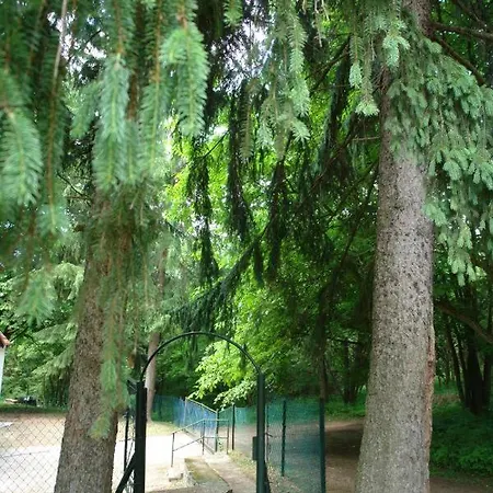 Forest Gate Vendeghaz Matraszentimre