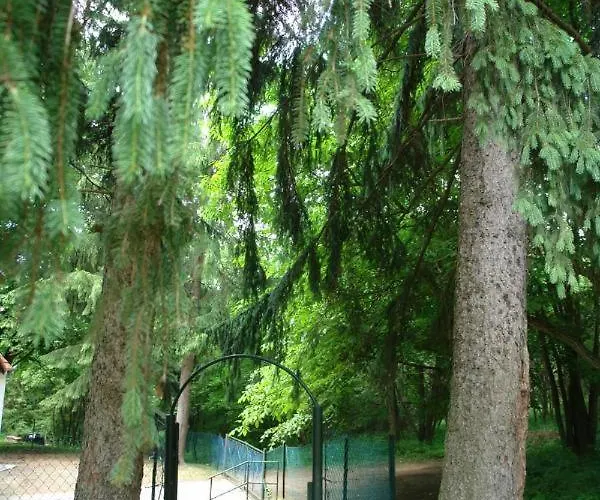 Forest Gate Vendeghaz Mátraszentimre