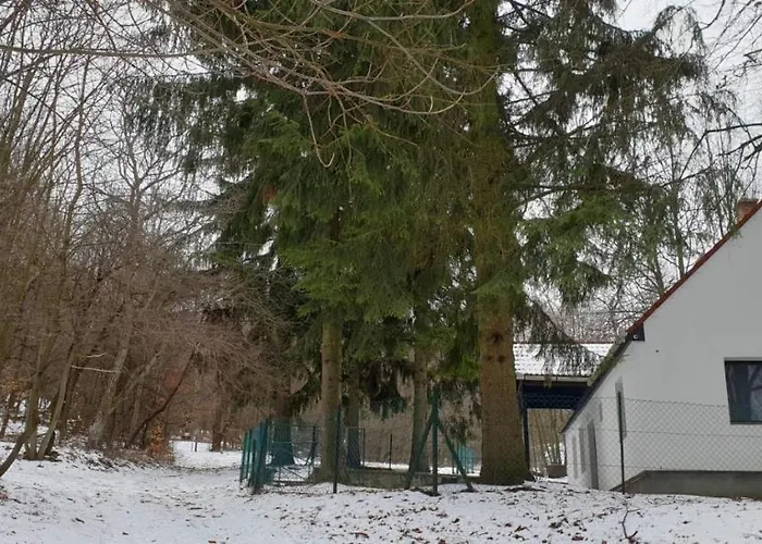 Forest Gate Vendeghaz Mátraszentimre